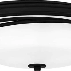 Quoizel CPE1620MBK Calliope Matte Black Flush Mount Ceiling Light Fixture