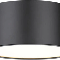 Z-Lite 2302F2-MB Harley Contemporary Matte Black 12" Ceiling Light Fixture