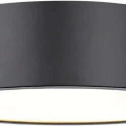 Z-Lite 2302F4-MB Harley Contemporary Matte Black 20" Ceiling Light Fixture